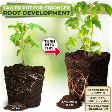 Square Nursery Pots from Carpathen are taller, hold more soil, odorless, reusable, for several seasons and easy to remove seedlings